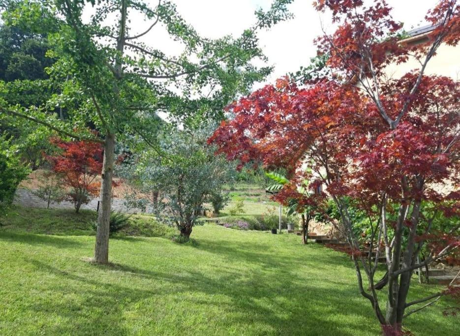 شقة Istanti - Menta Costigliole Saluzzo المظهر الخارجي الصورة